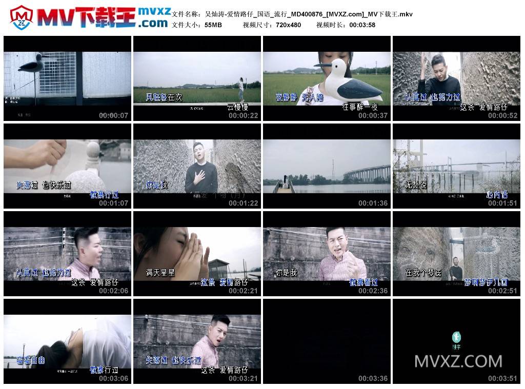 吴灿涛-爱情路仔_国语_流行_MD400876